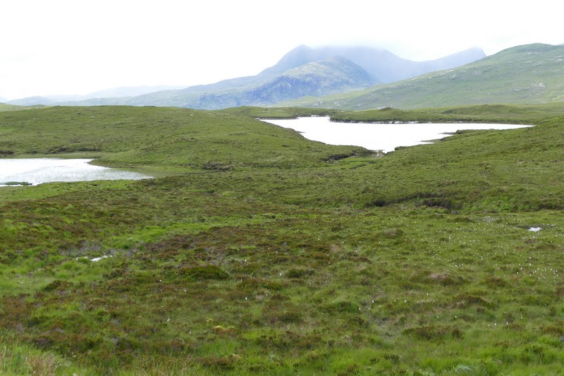 ardsmuir moor