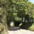 jersey 074