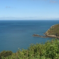 jersey 075