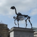 Gift Horse statue in Trafalger Square