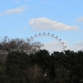 London Eye