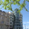 The Dancing House (co-designed by Frank Gehry)