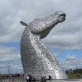 The Kelpie named "Baron"