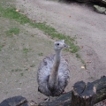 Zoo 26.10.2014 0006