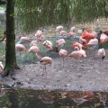 Zoo 26.10.2014 0008